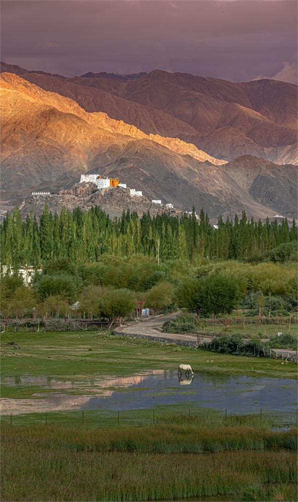 Cultural Heritage Expeditions Ladakh
